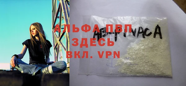таблы Ельня
