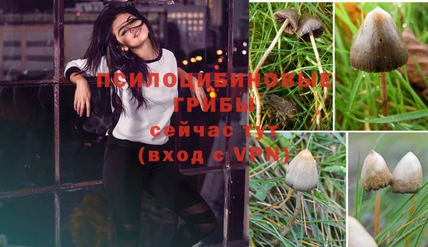 ешки Елабуга