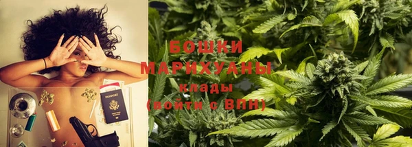 первитин Заводоуковск