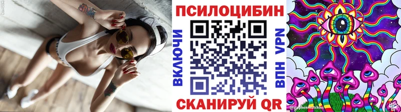 Псилоцибиновые грибы Cubensis  Изобильный 
